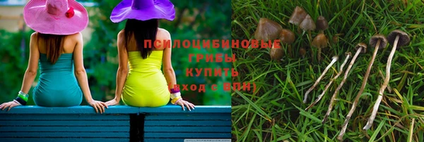 ешки Михайловск