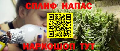крисы Ставрополь