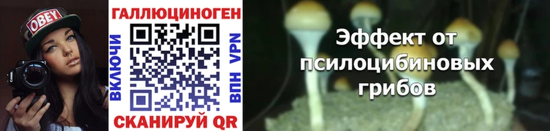 shop формула Подольск Галлюциногенные грибы GOLDEN TEACHER ОМГ ОМГ ссылка