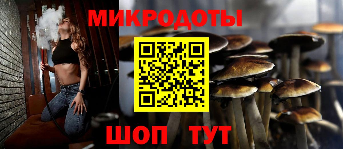 Подольск  Псилоцибиновые грибы мицелий  Галлюциногенные грибы Psilocybe  Вход с VPN 
